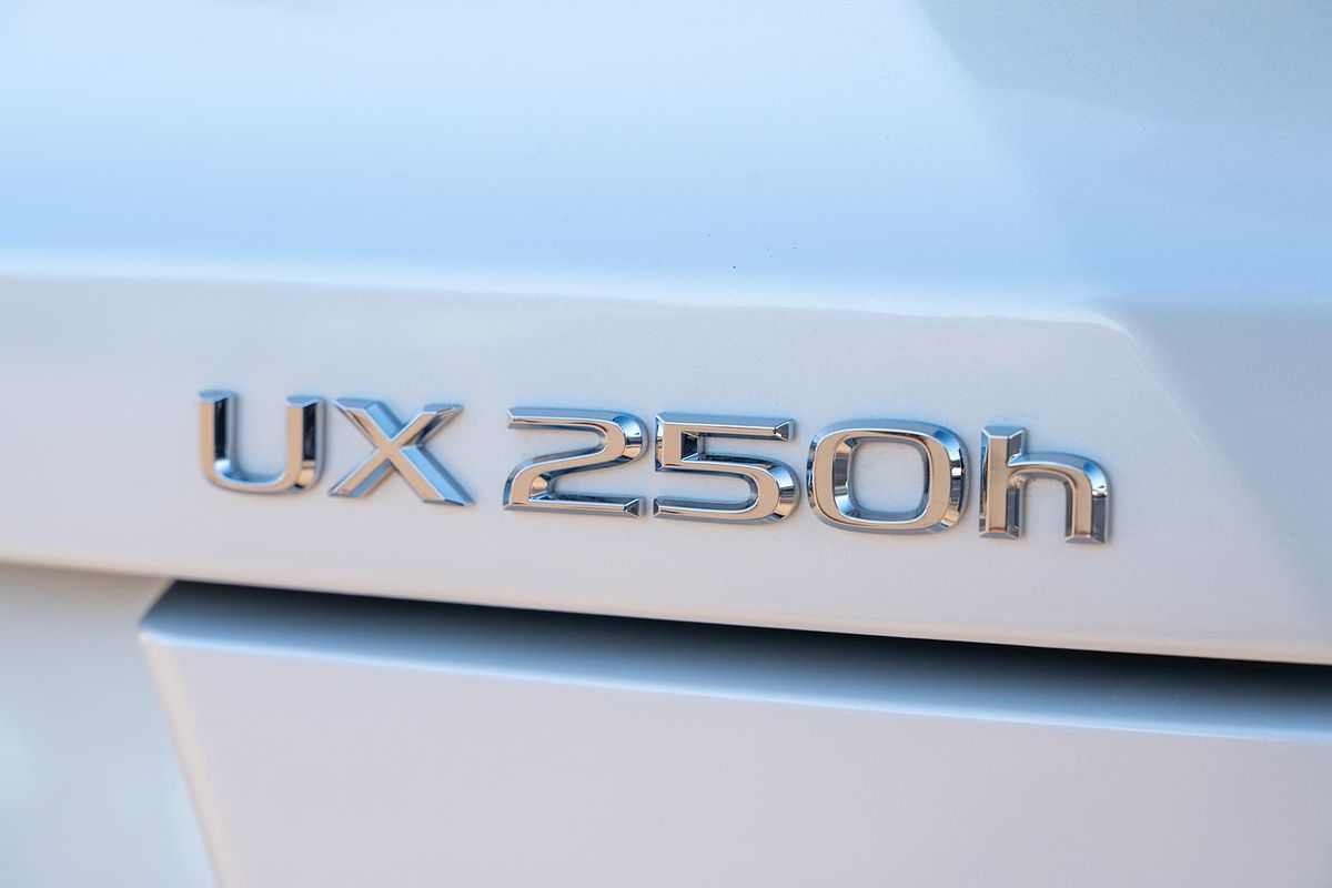 2024 Lexus UX UX250h Sport Luxury MZAH10R