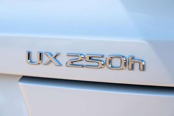 2024 Lexus UX UX250h Sport Luxury MZAH10R