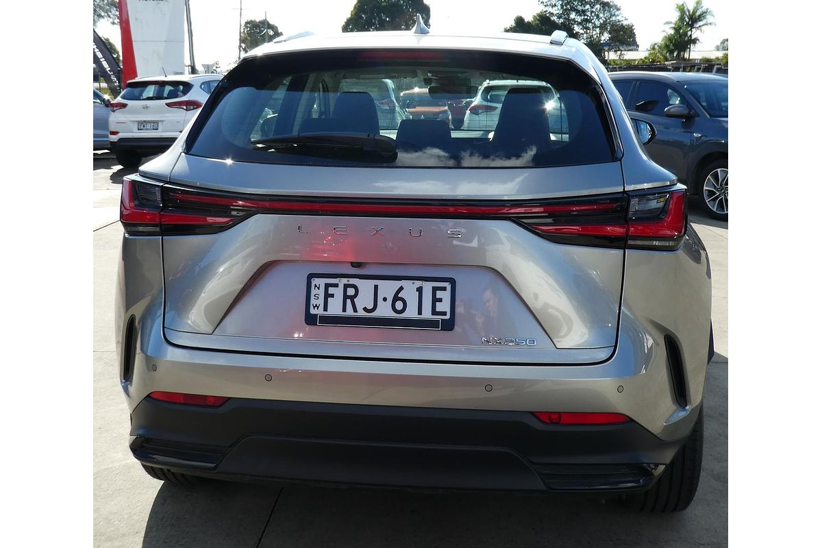 2023 Lexus NX NX250 AAZA20R
