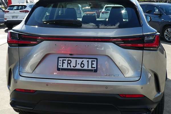 2023 Lexus NX NX250 AAZA20R