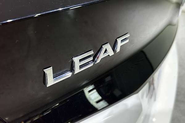 2019 Nissan LEAF  ZE1