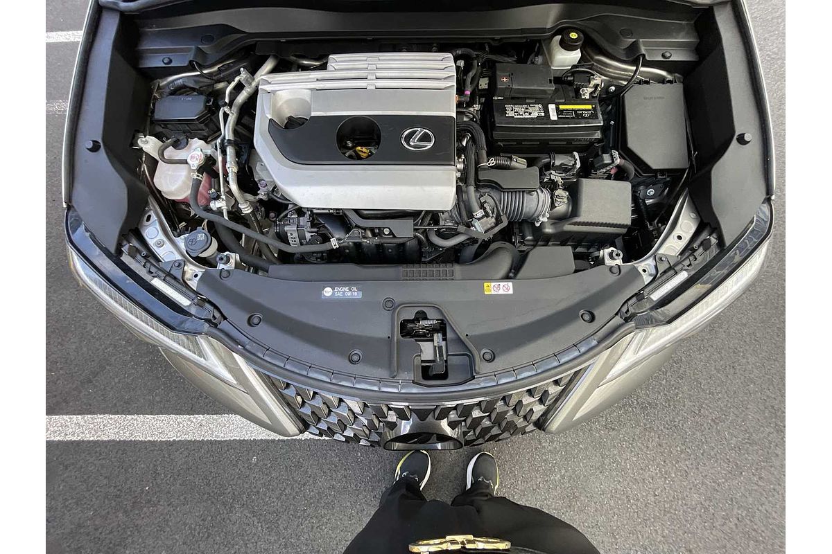 2021 Lexus UX UX 200