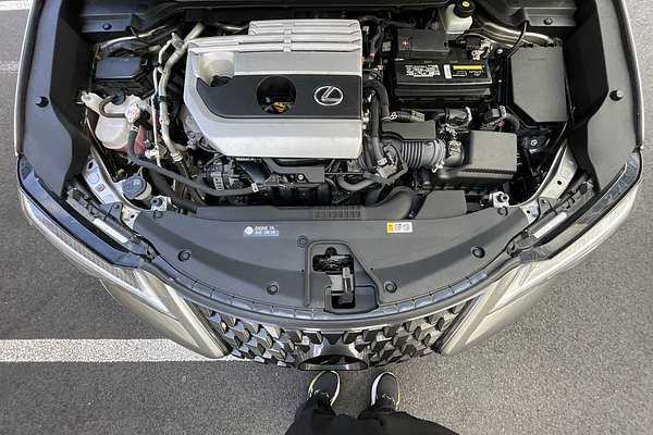 2021 Lexus UX UX 200
