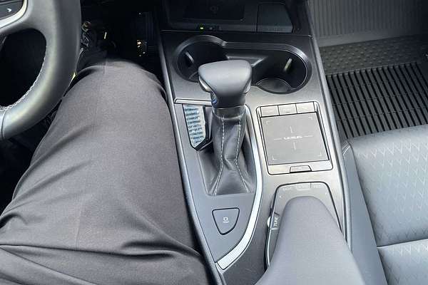 2021 Lexus UX UX 200