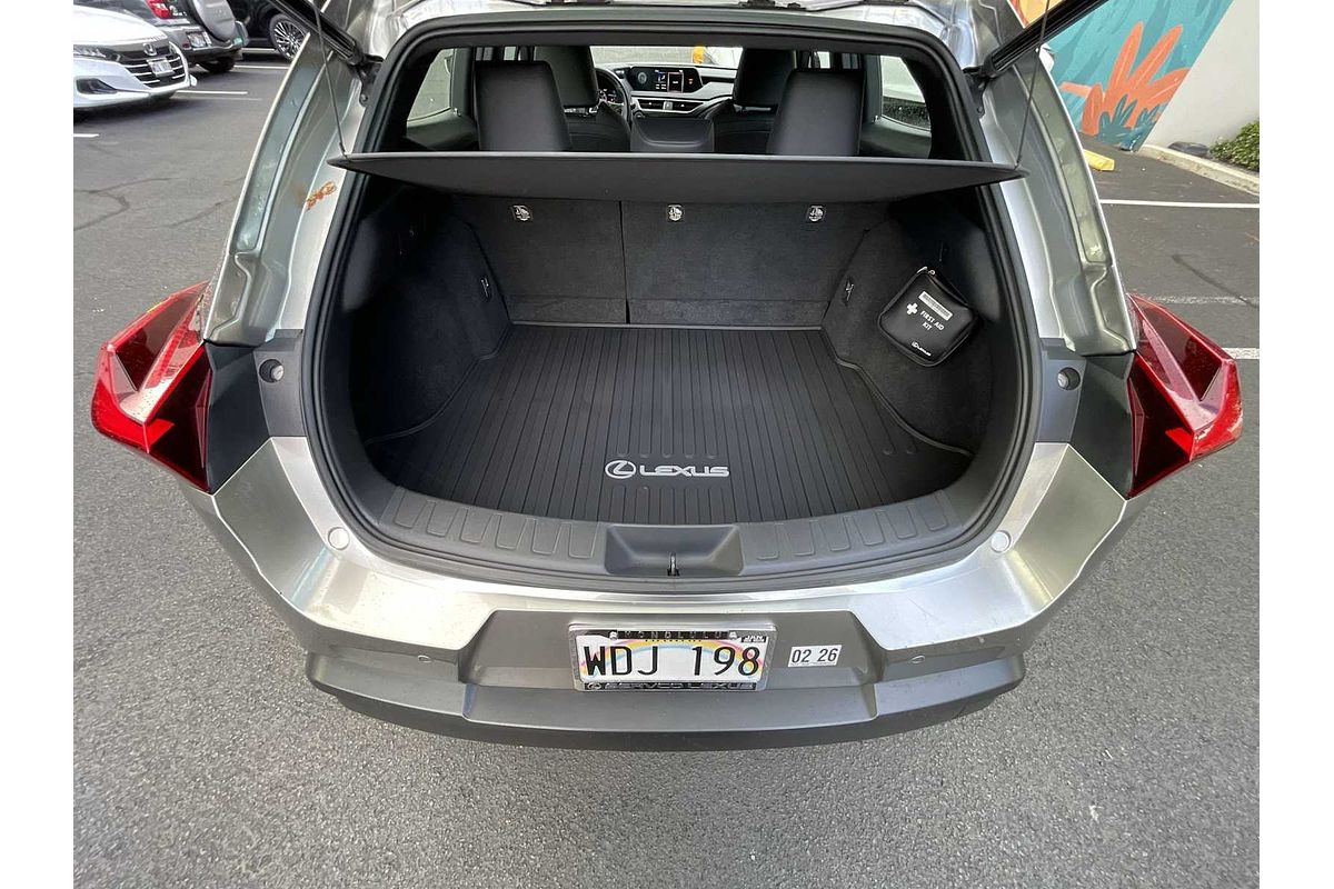 2021 Lexus UX UX 200