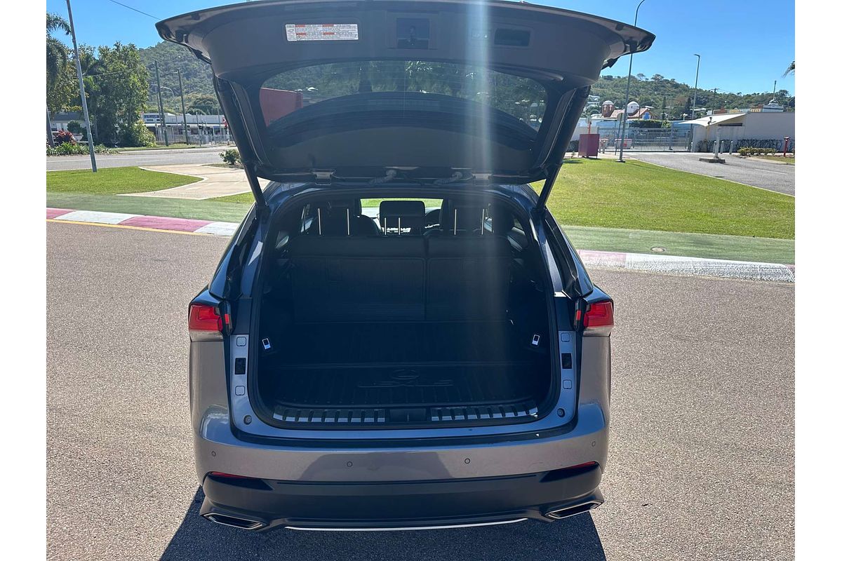 2020 Lexus NX NX300 Luxury AGZ10R