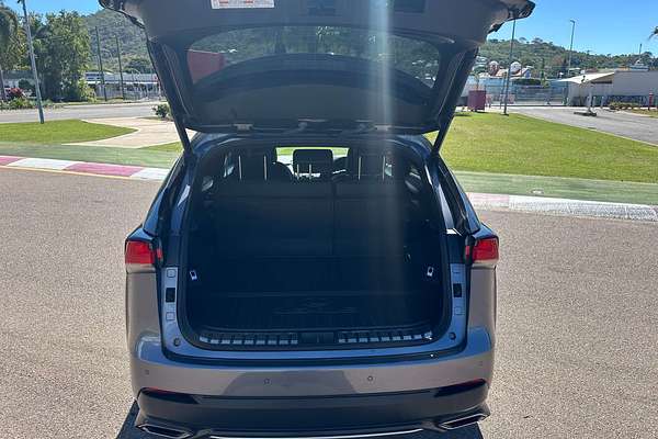 2020 Lexus NX NX300 Luxury AGZ10R