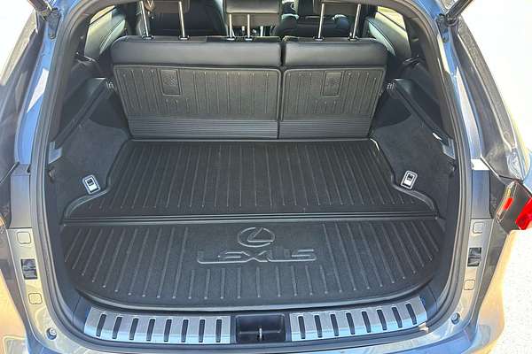 2020 Lexus NX NX300 Luxury AGZ10R