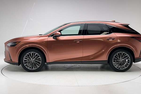 2023 Lexus RX RX350h Sports Luxury AALH15R