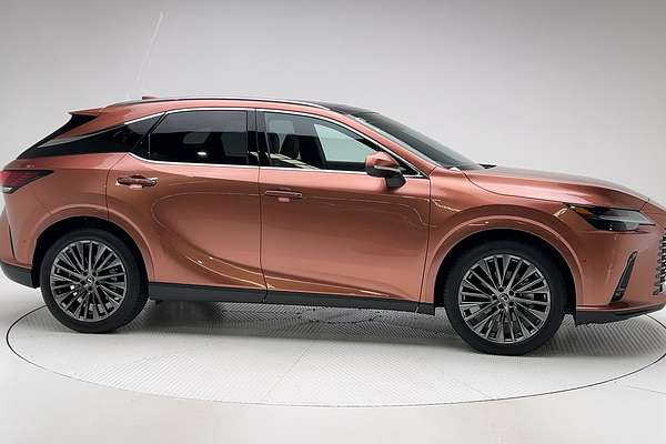 2023 Lexus RX RX350h Sports Luxury AALH15R