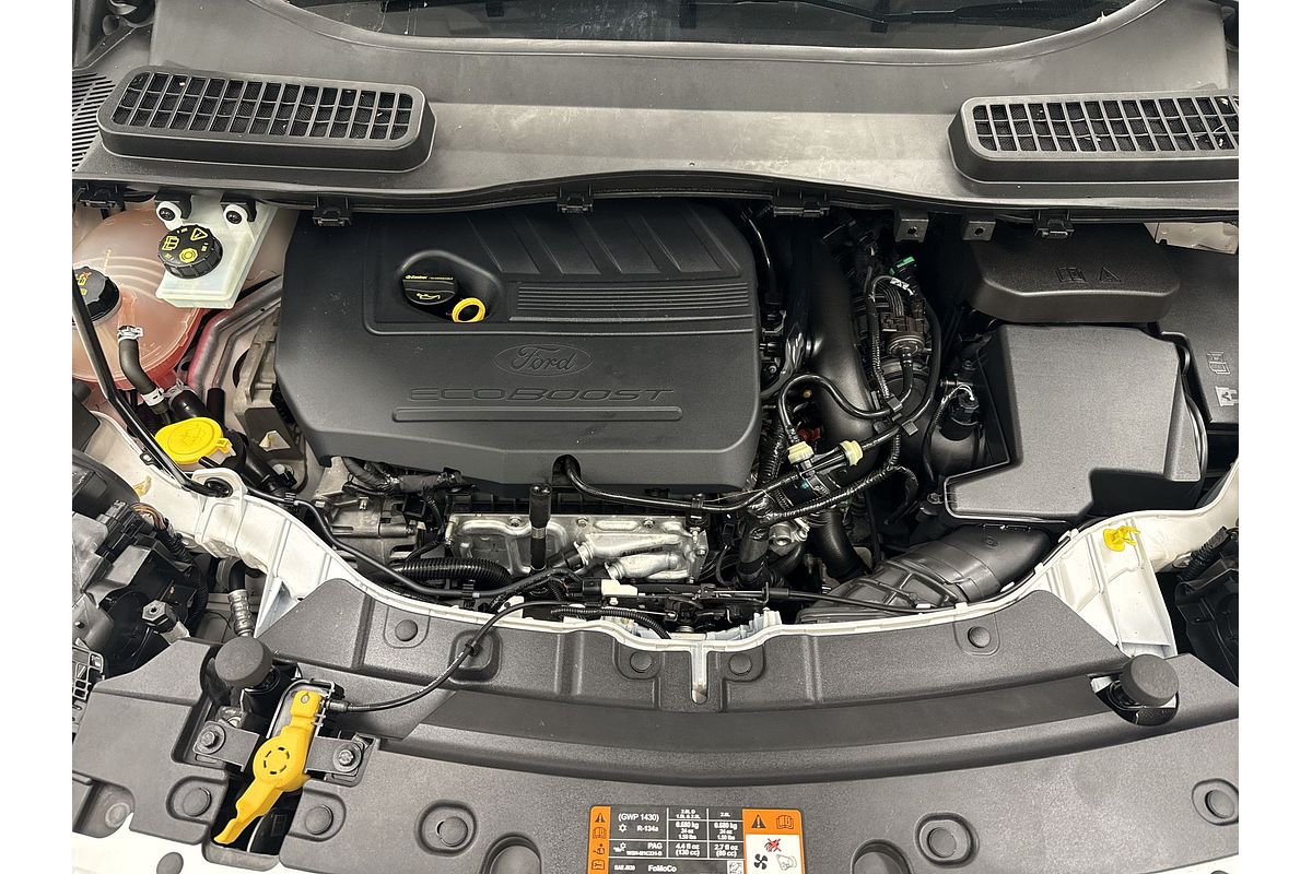 2017 Ford Escape Trend ZG