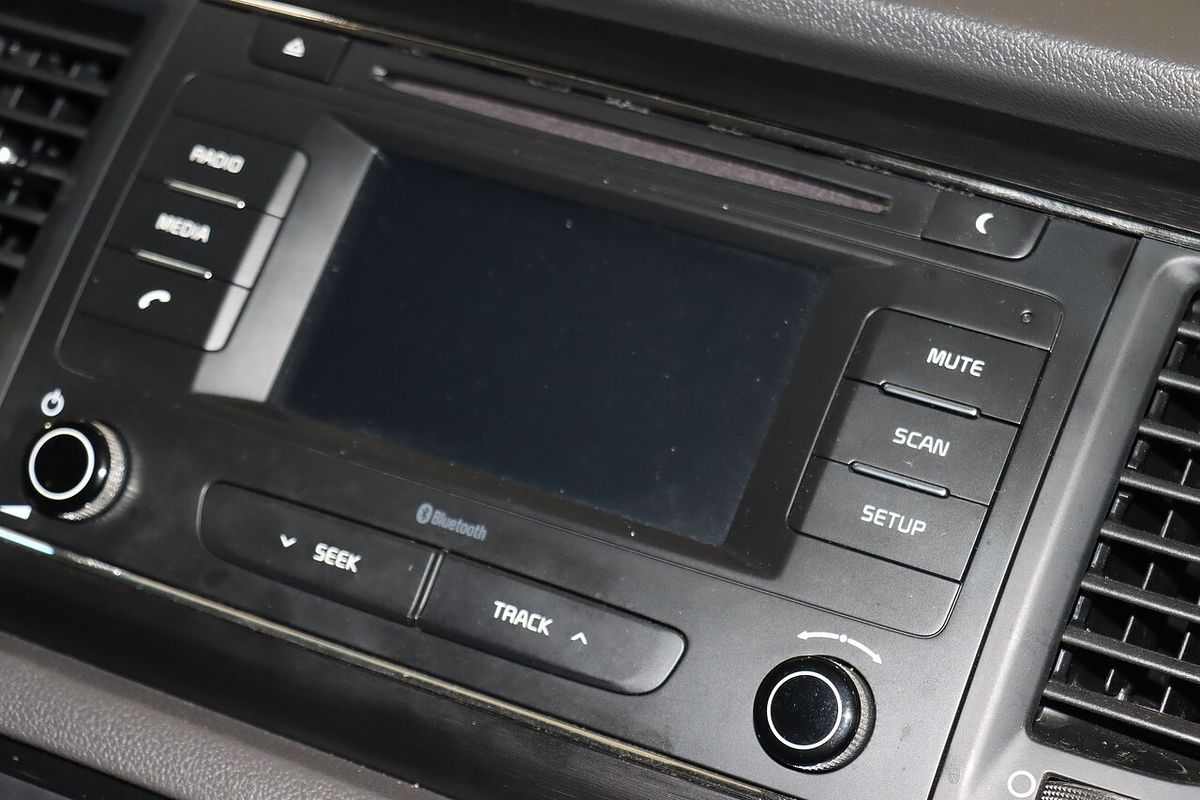 2018 Kia Carnival S YP