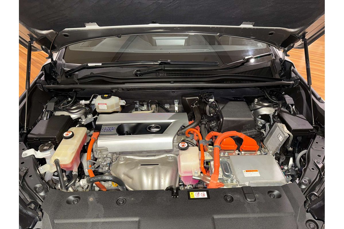 2019 Lexus NX NX300h F Sport AYZ10R