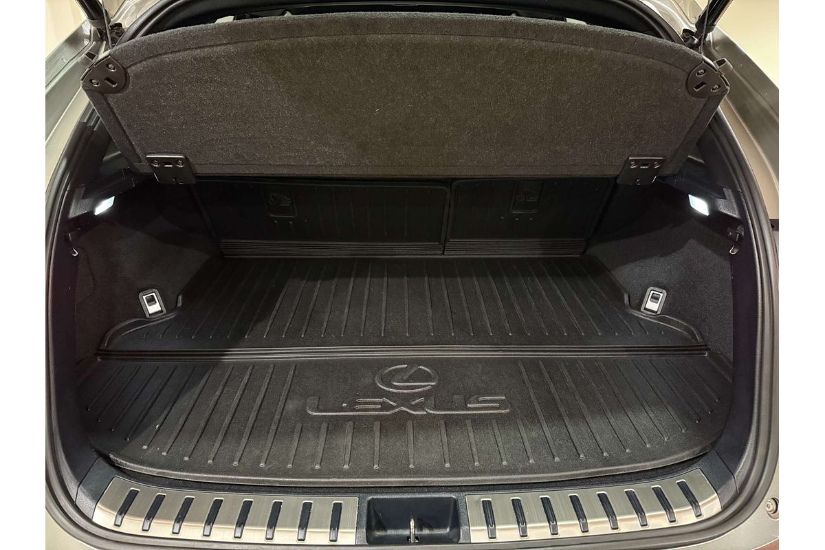 2019 Lexus NX NX300h F Sport AYZ10R