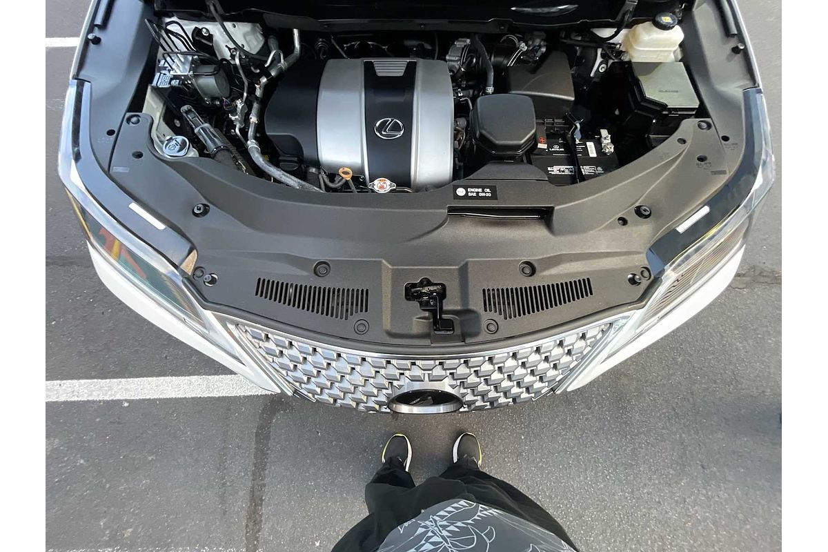 2020 Lexus RX