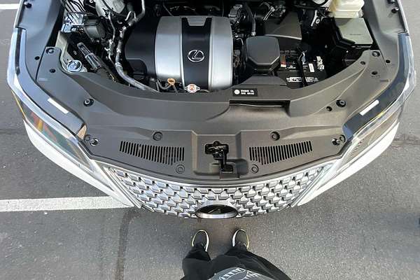 2020 Lexus RX