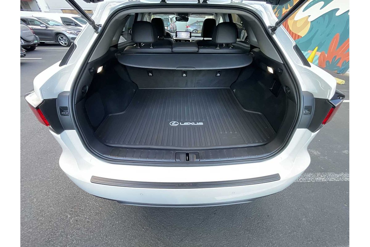 2020 Lexus RX