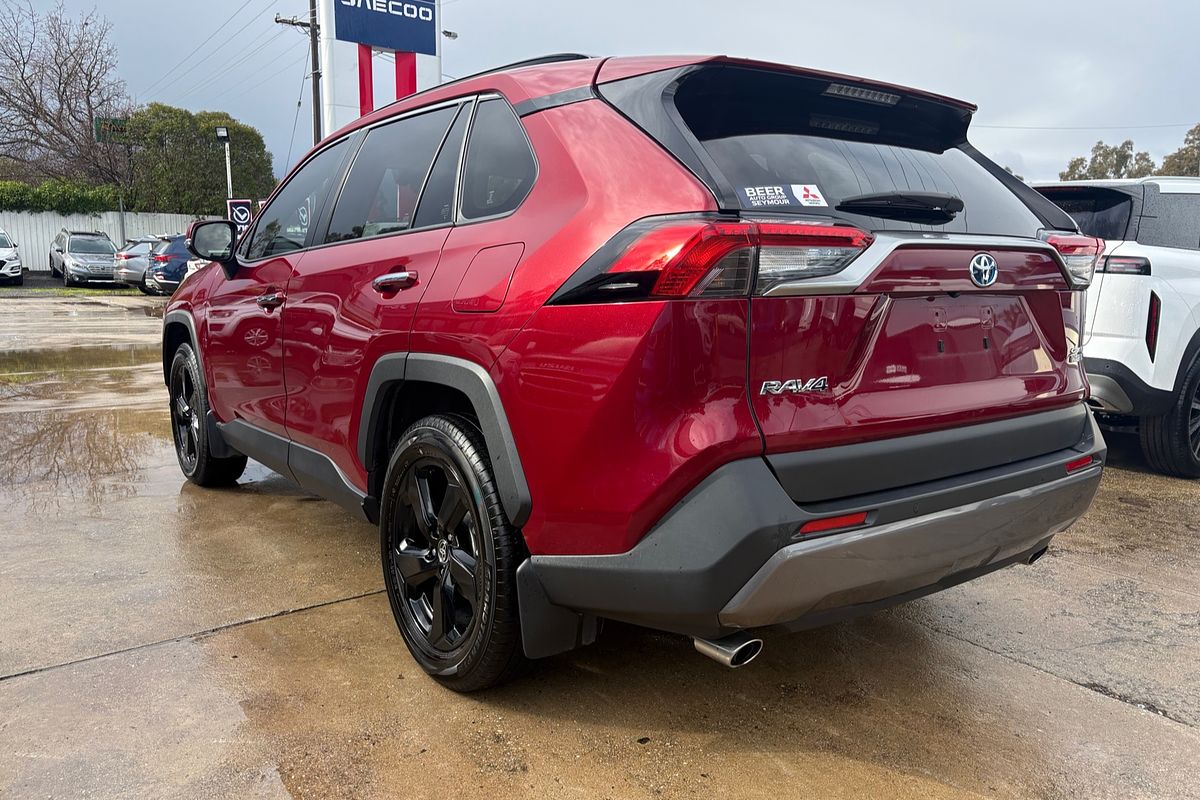 2020 Toyota RAV4 Cruiser AXAH52R