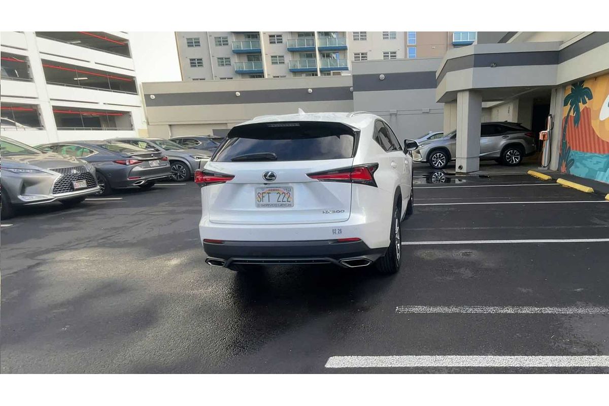 2018 Lexus NX