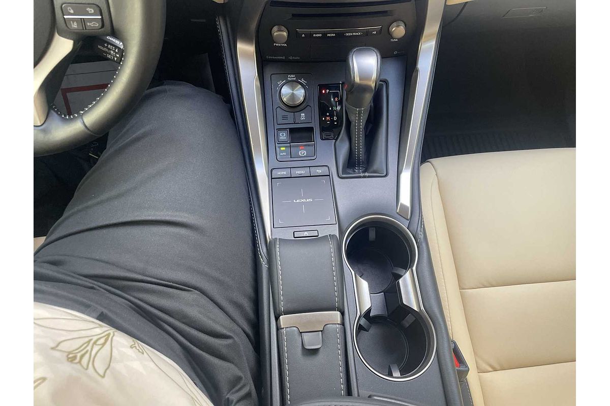 2018 Lexus NX