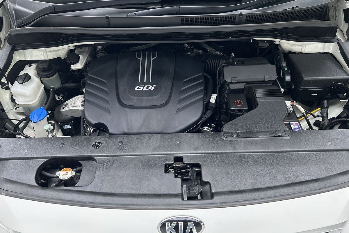 2018 Kia Carnival S YP
