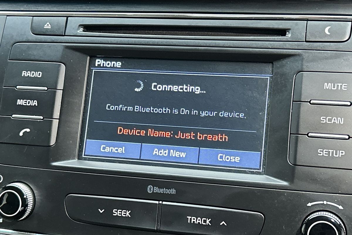 2018 Kia Carnival S YP