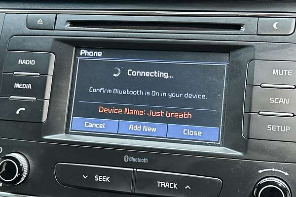 2018 Kia Carnival S YP