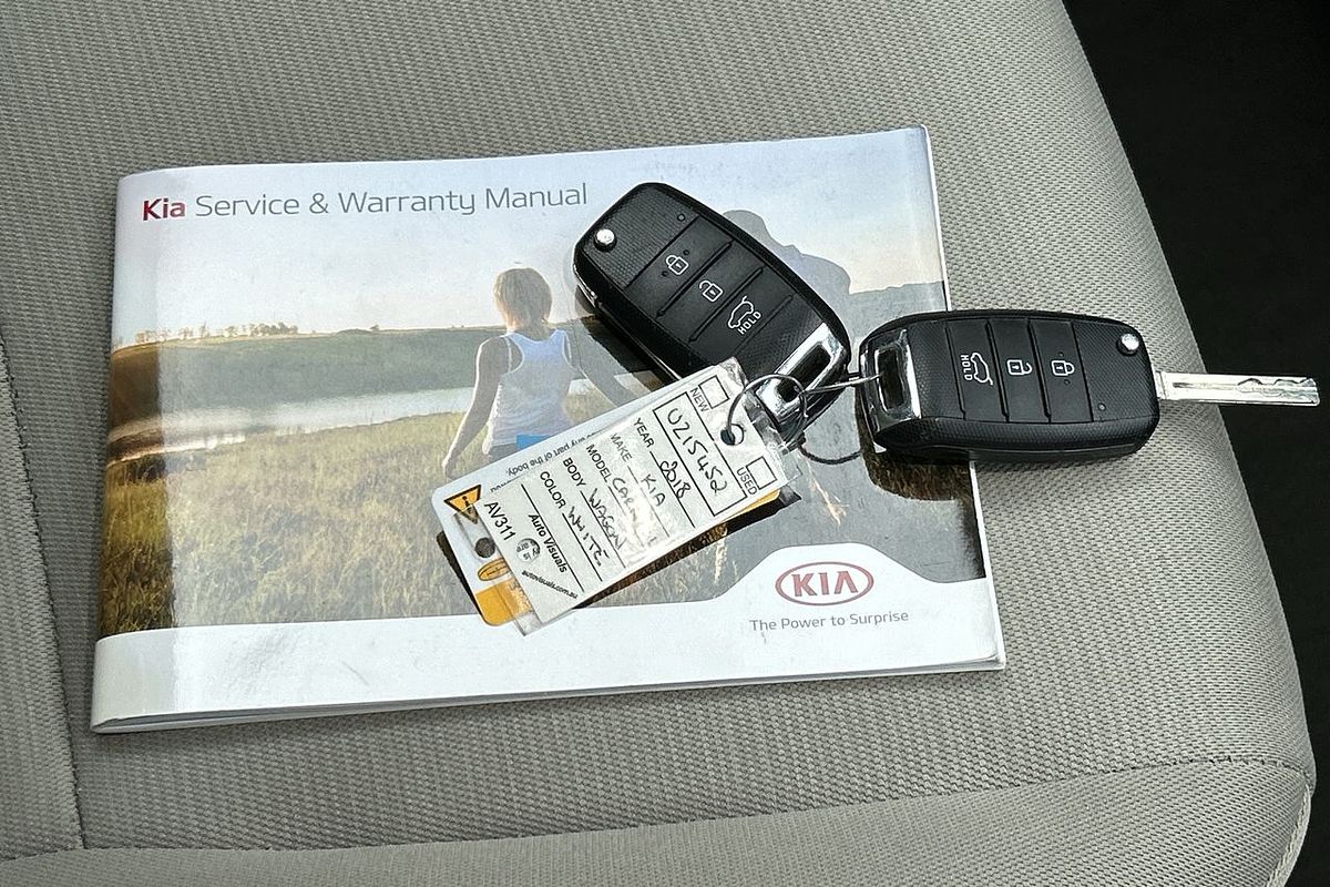 2018 Kia Carnival S YP