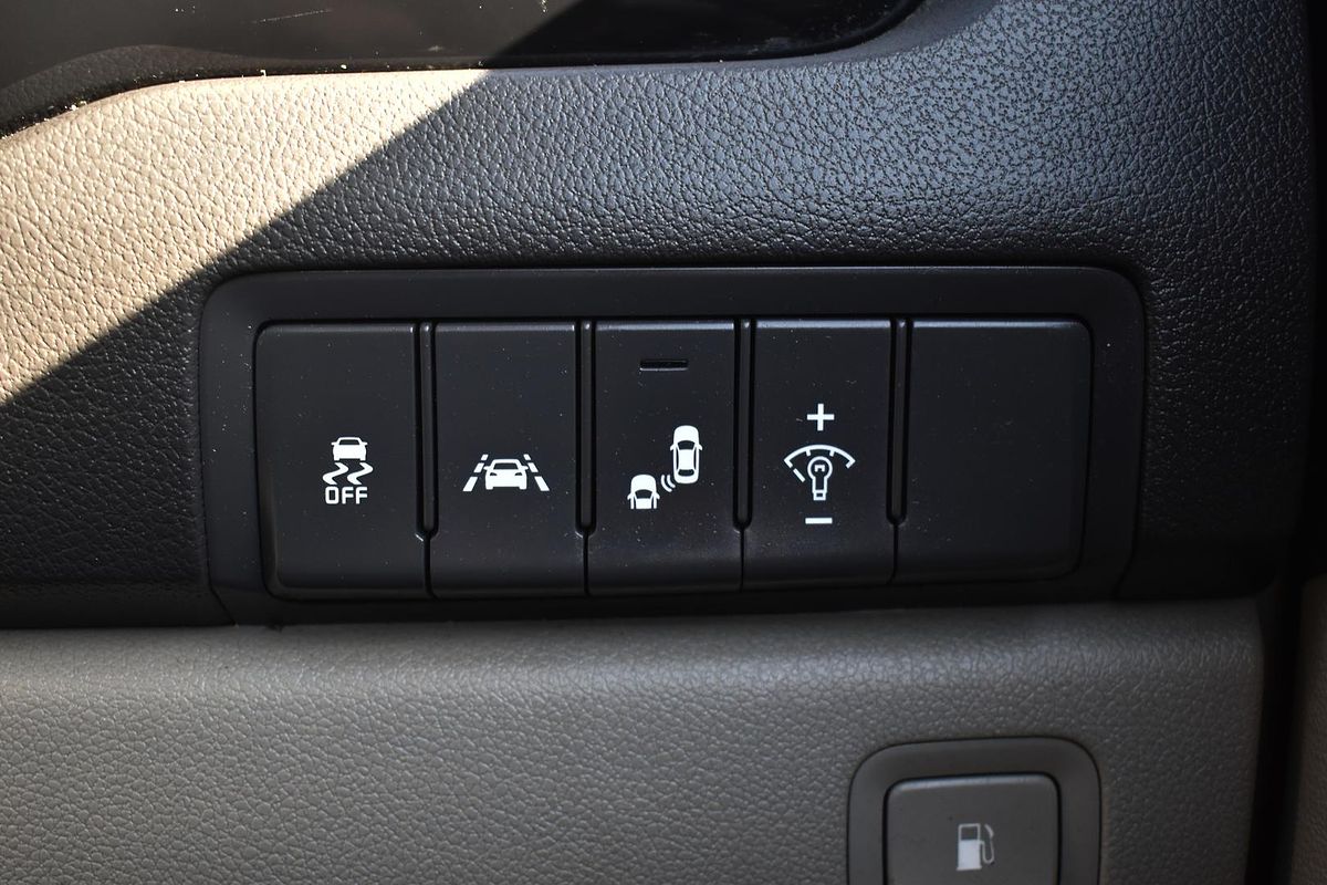 2017 Kia Carnival Platinum YP