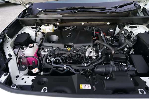 2021 Toyota RAV4 Cruiser AXAH52R