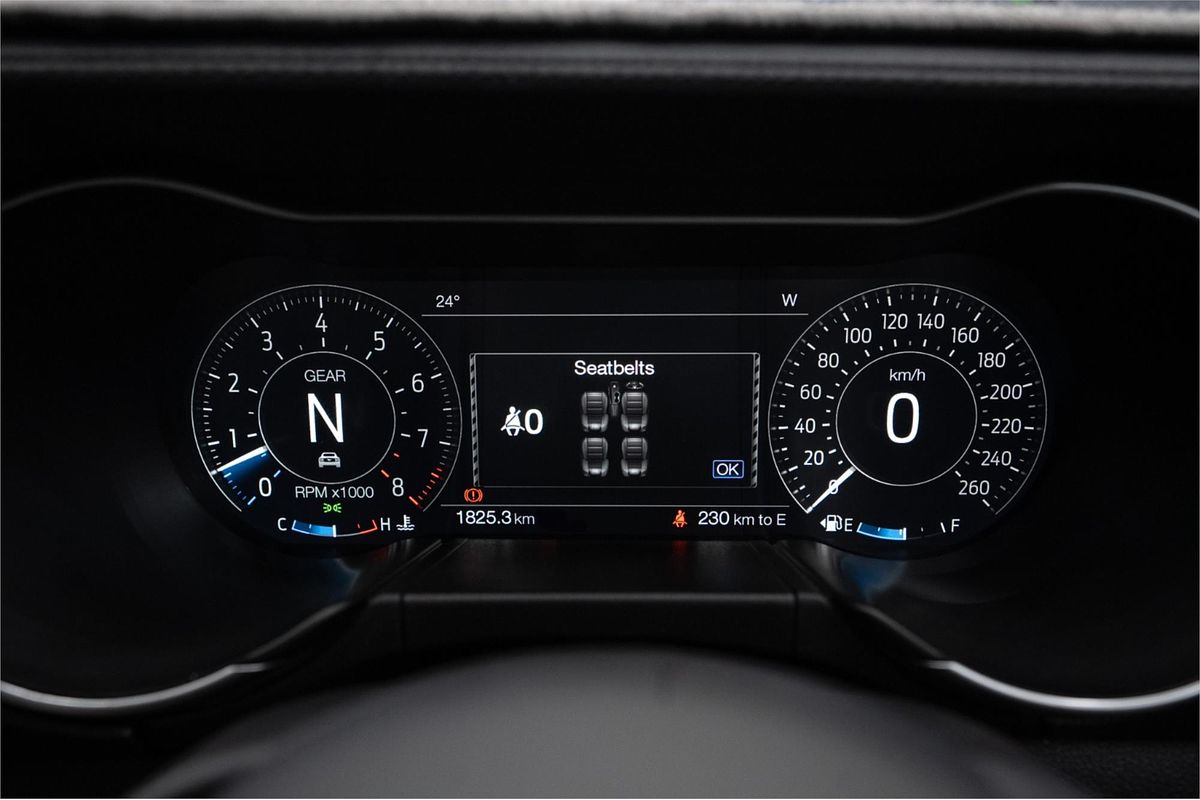 2022 Ford Mustang GT 5.0 V8 FN MY22.25