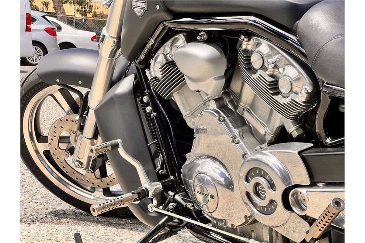 2015 Harley-Davidson 1250CC VRSCF MUSCLE MY16