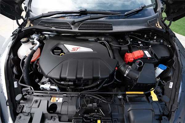 2013 Ford Fiesta ST WZ