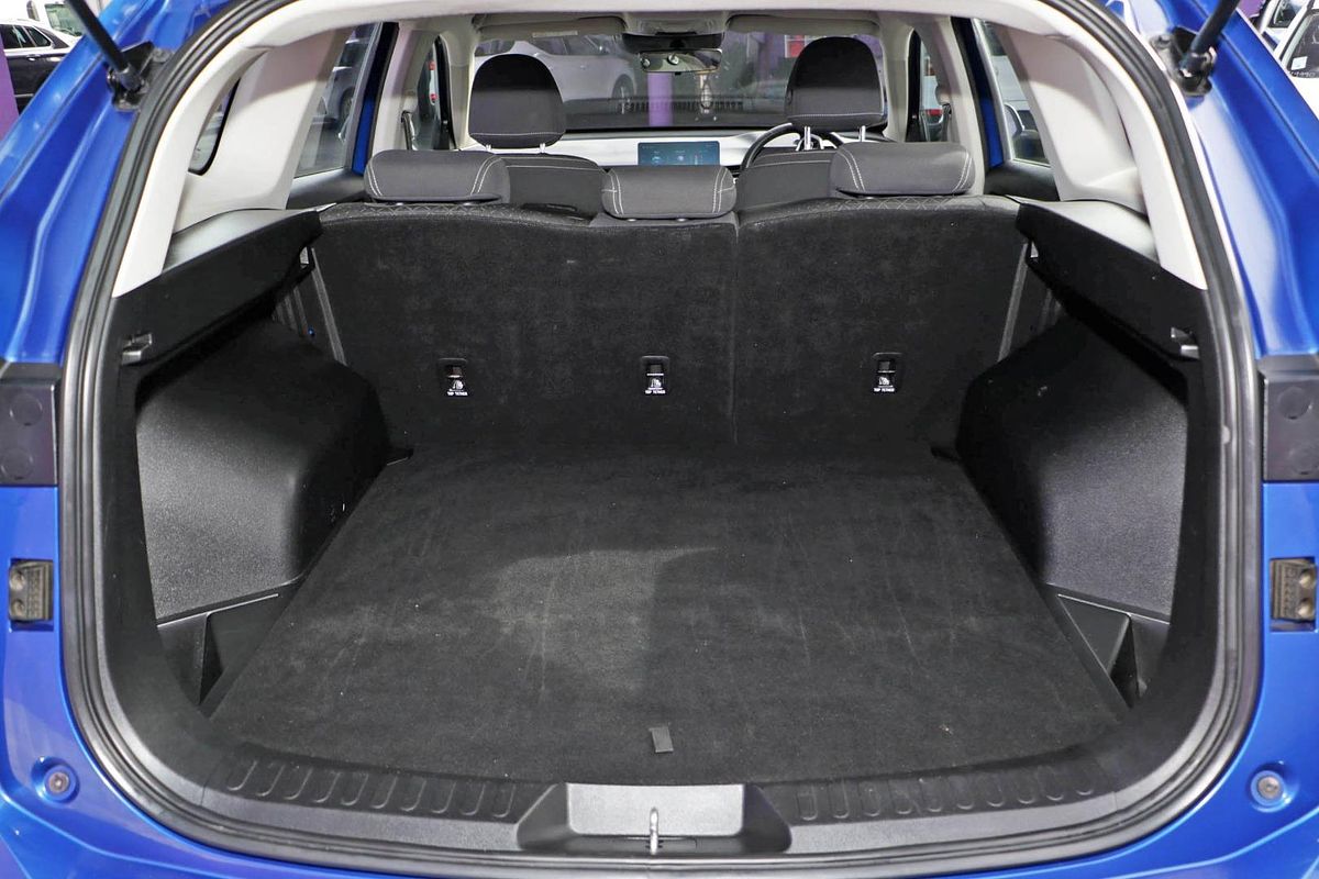 2021 GWM H6 Premium B01