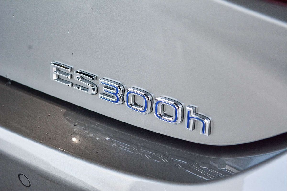 2020 Lexus ES ES300h Luxury AXZH10R
