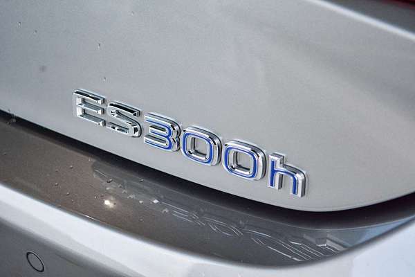 2020 Lexus ES ES300h Luxury AXZH10R