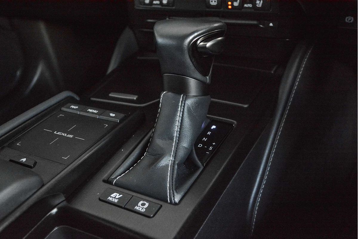 2020 Lexus ES ES300h Luxury AXZH10R