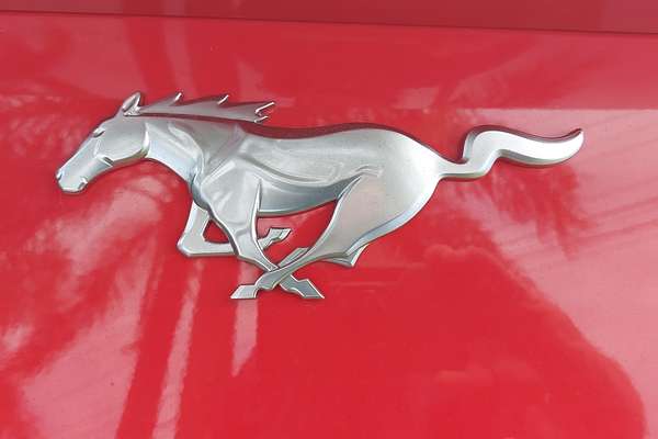 2024 Ford Mustang Ecoboost FO