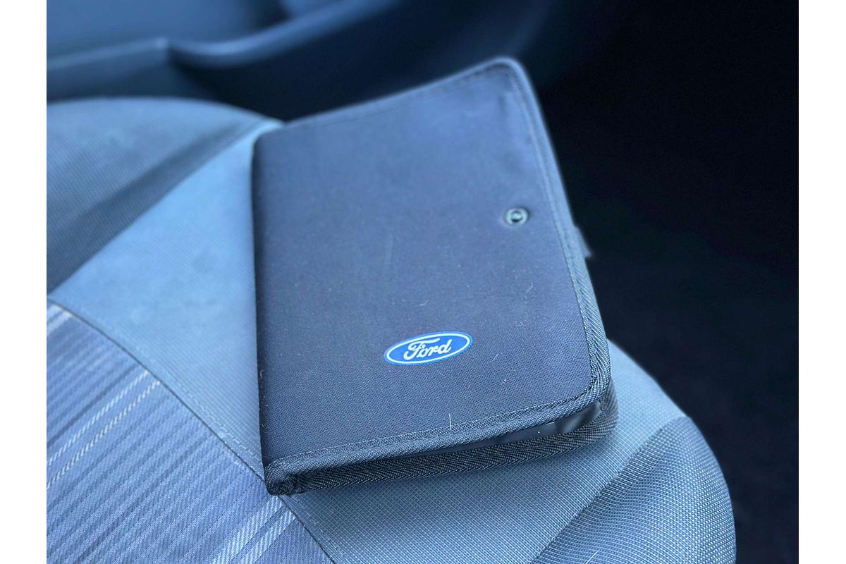 2009 Ford Fiesta LX WS