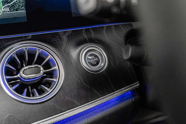 2019 Mercedes-Benz E-Class E53 AMG A238