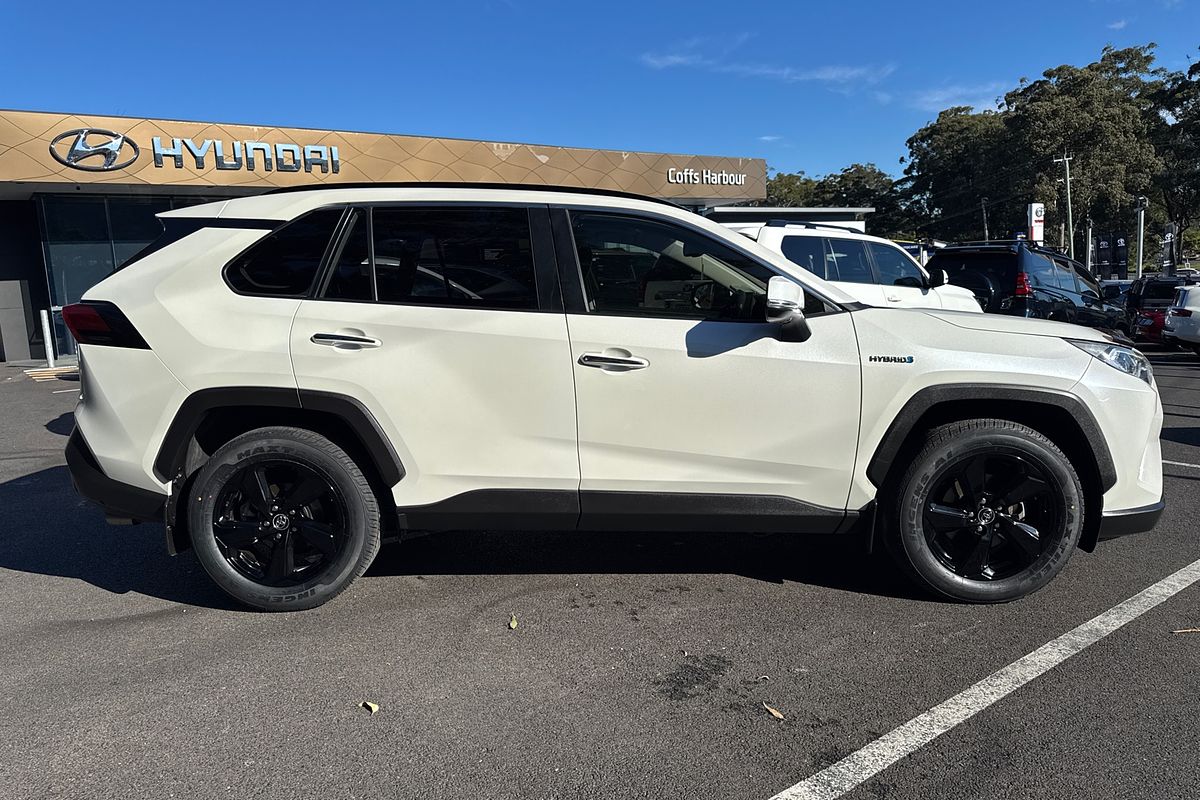 2019 Toyota RAV4 Cruiser AXAH54R