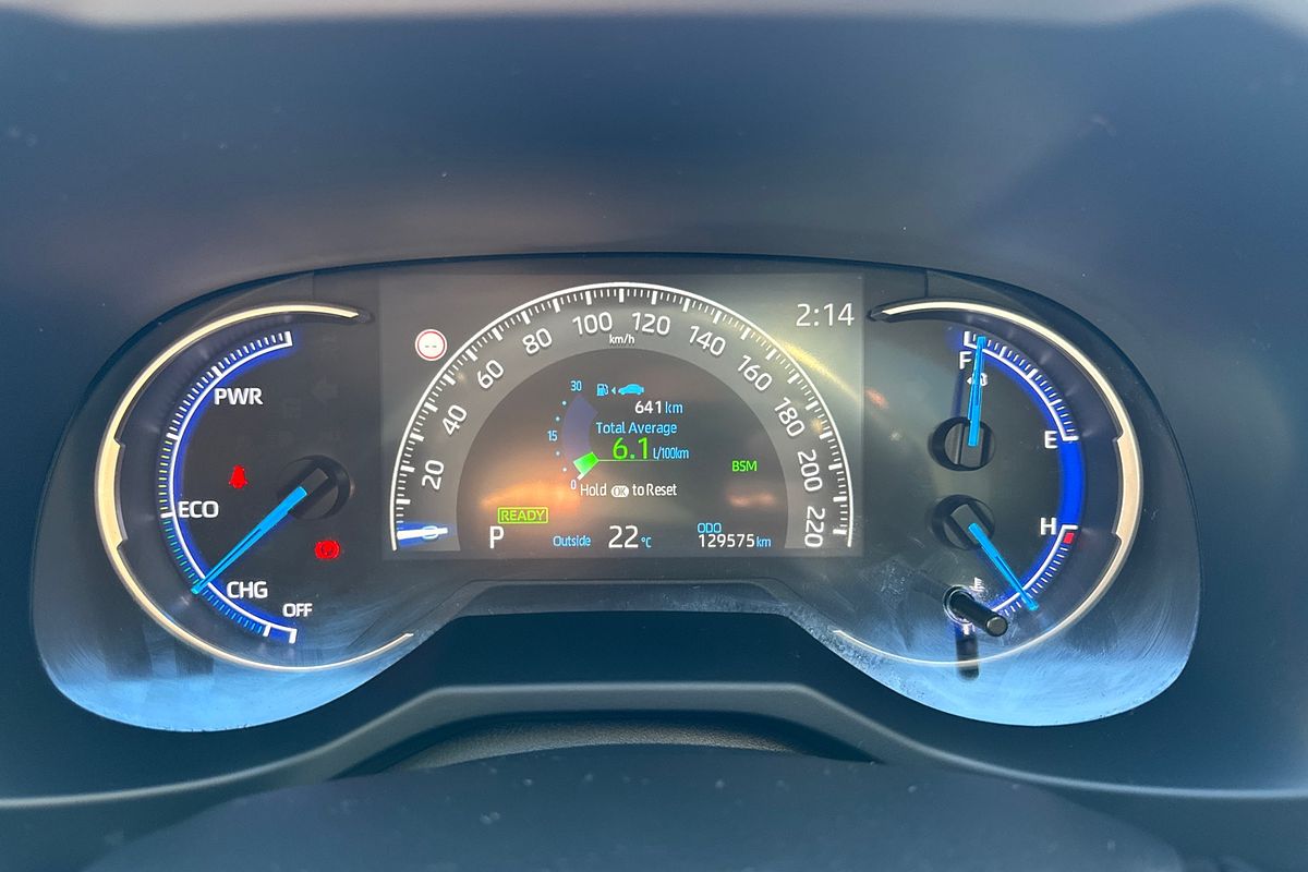 2019 Toyota RAV4 Cruiser AXAH54R