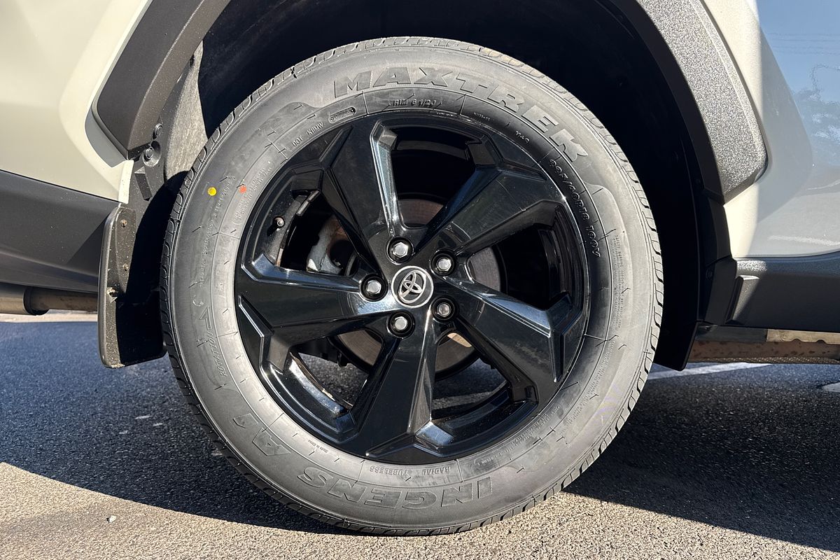 2019 Toyota RAV4 Cruiser AXAH54R