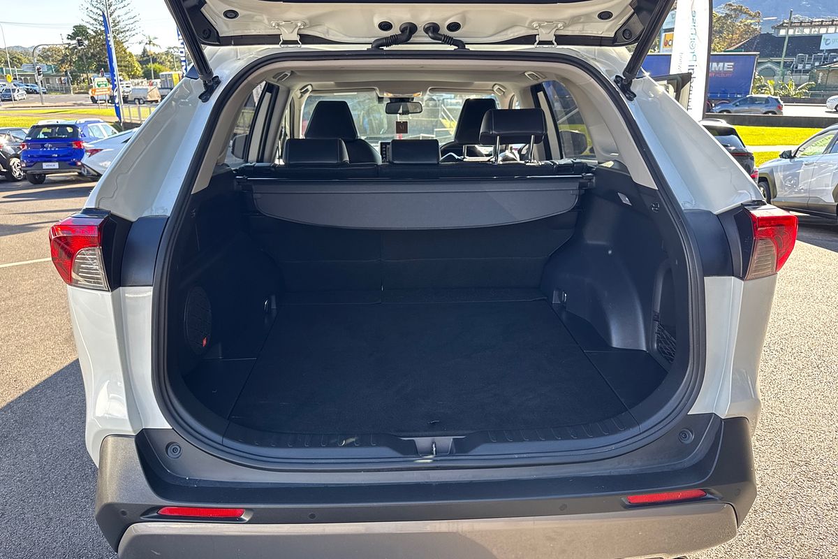2019 Toyota RAV4 Cruiser AXAH54R