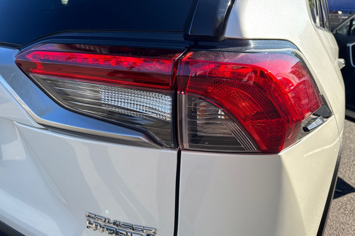 2019 Toyota RAV4 Cruiser AXAH54R