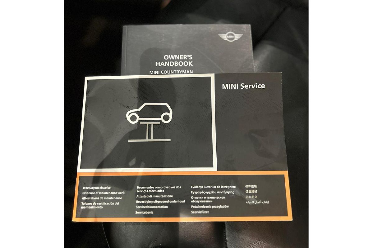 2011 MINI Countryman Cooper D R60