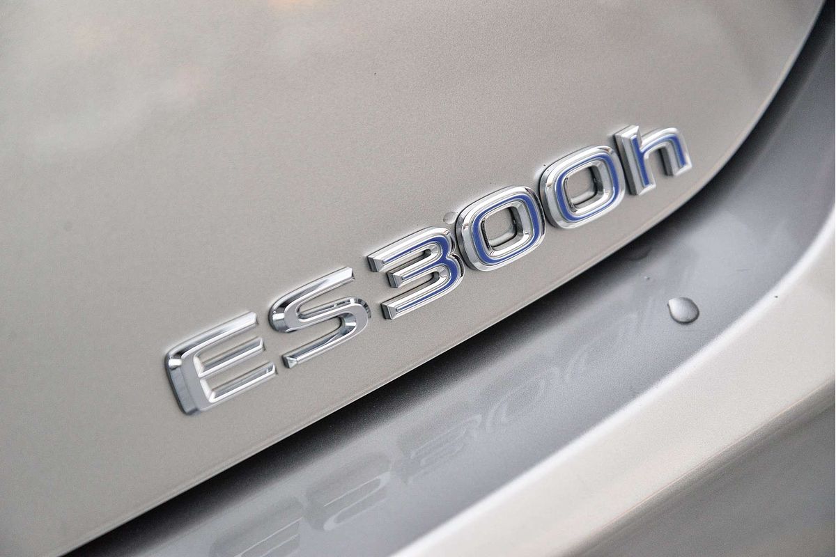 2020 Lexus ES ES300h F Sport AXZH10R