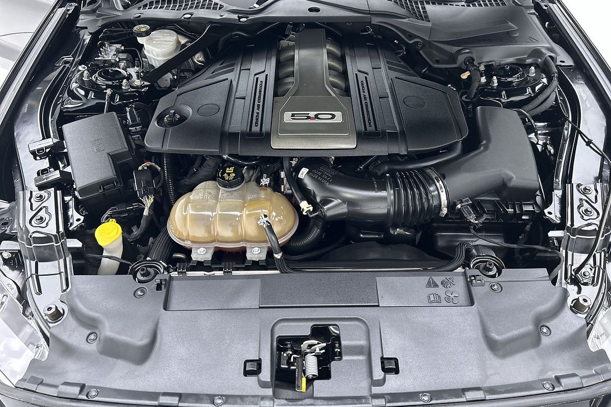 2019 Ford Mustang GT FN