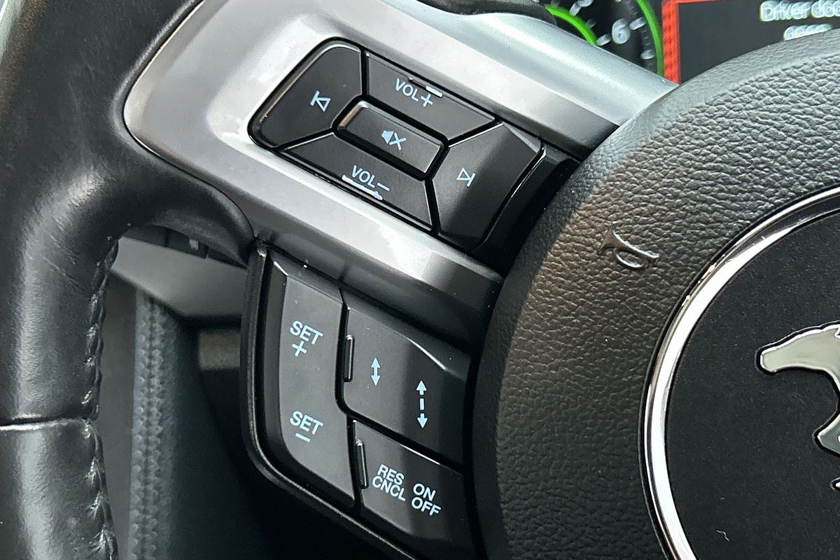 2019 Ford Mustang GT FN