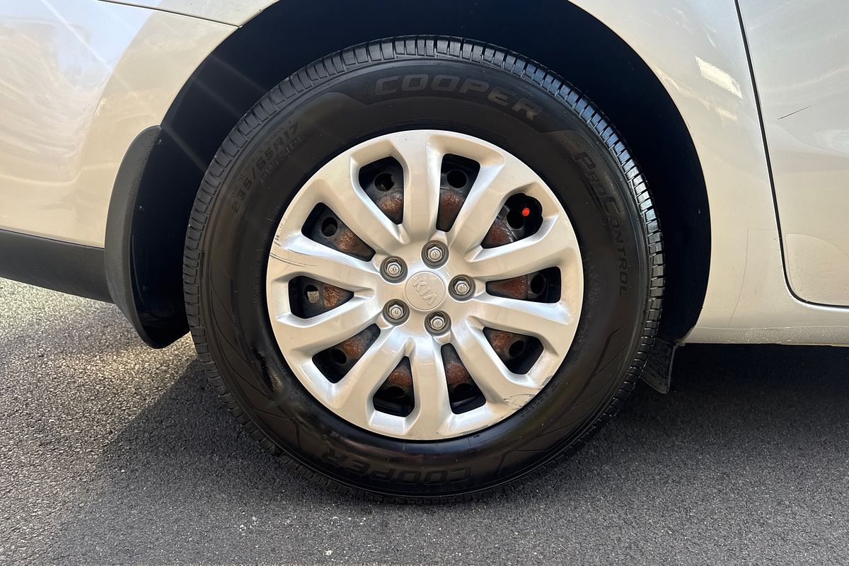2019 Kia Carnival S YP